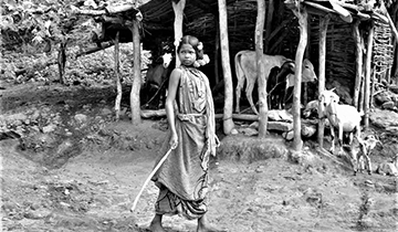 Spirituality, Tribes & Beaches of Orissa